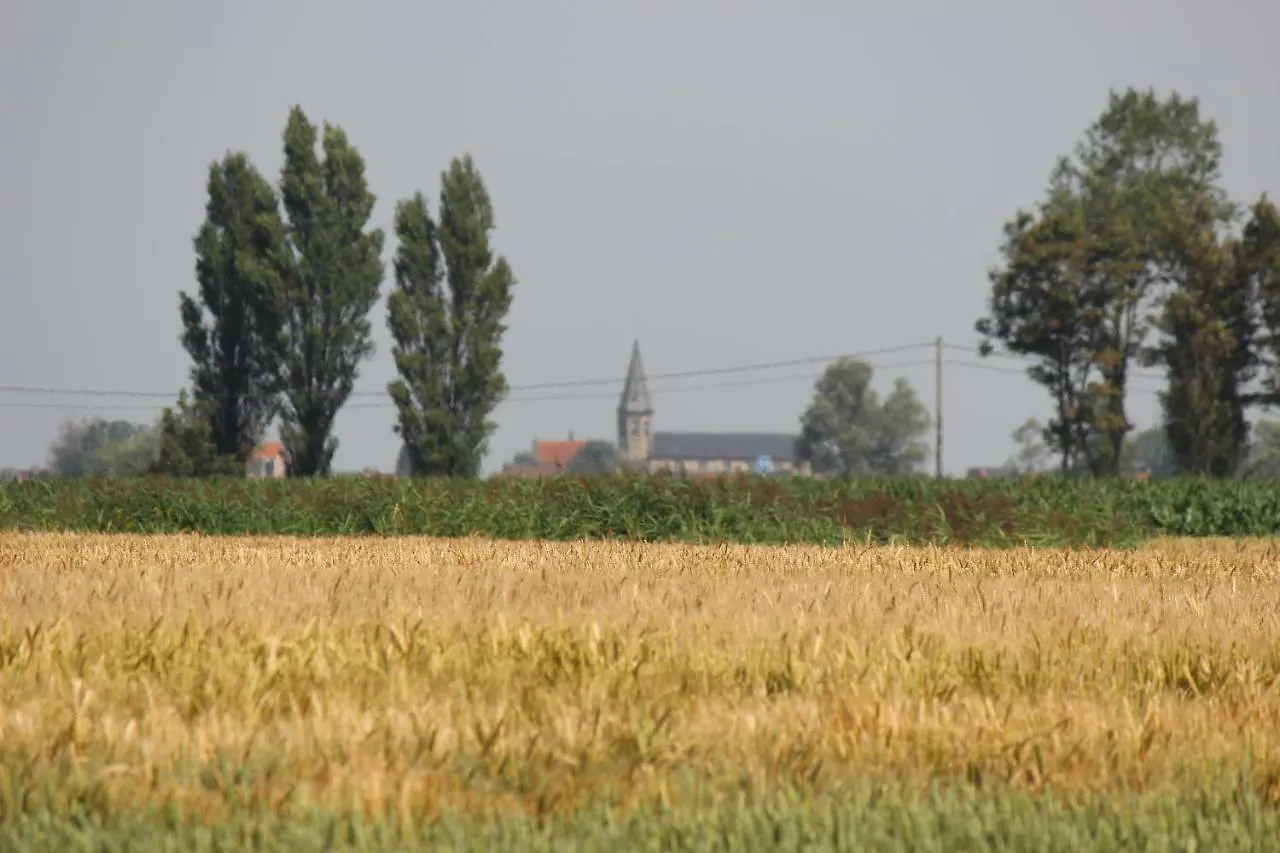 Maneschijn**** Villa Middelkerke